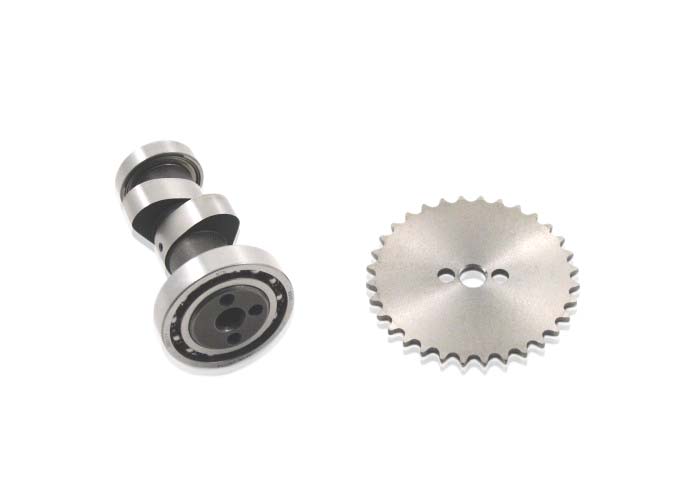 TB Race Cam for Big Valve Heads
