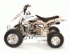 Pitster Pro Mini Quads
